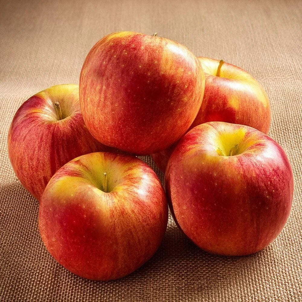 Apple Royal Gala Box 18 kg South Africa 🇿🇦
